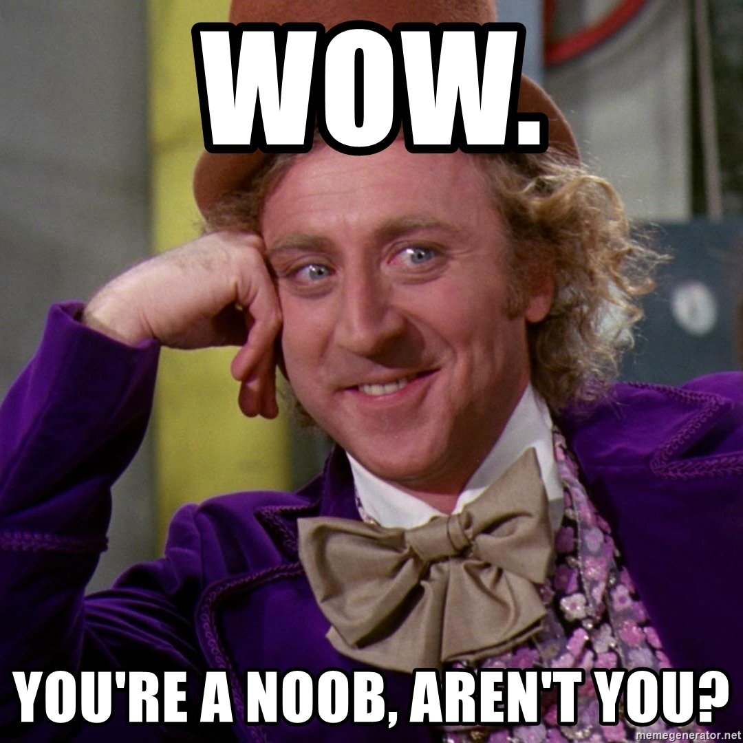 wow-youre-a-noob-arent-you.jpg