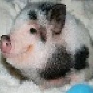 khimlobb