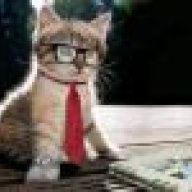 Pussyfoot