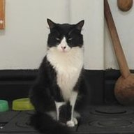 Carlos